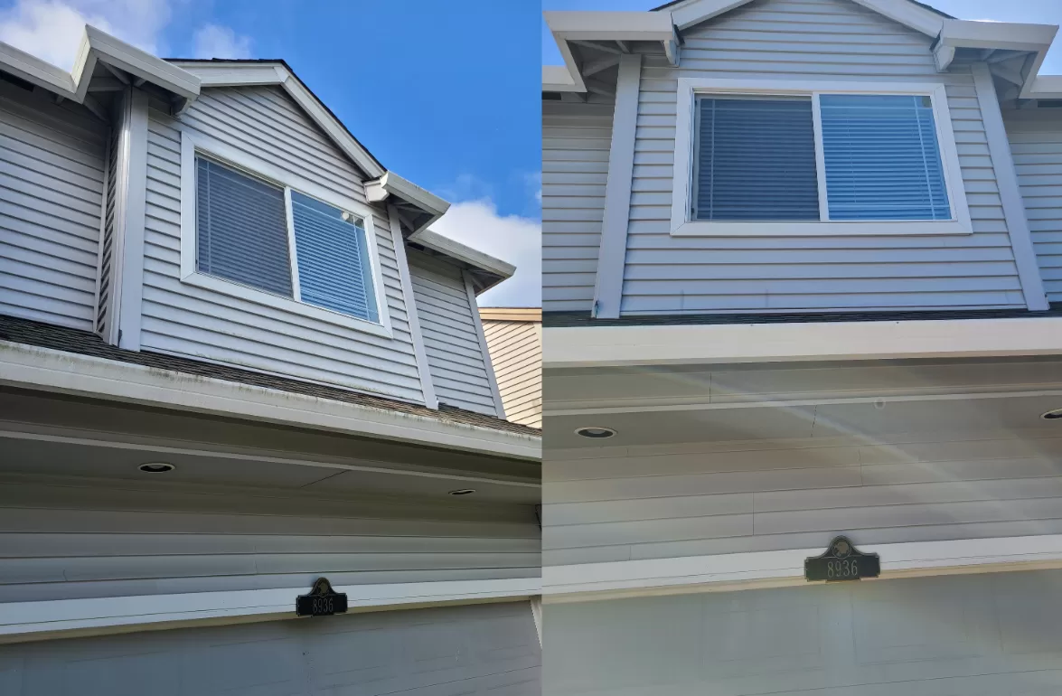 House Washing and Gutter Cleaning in Tigard, OR